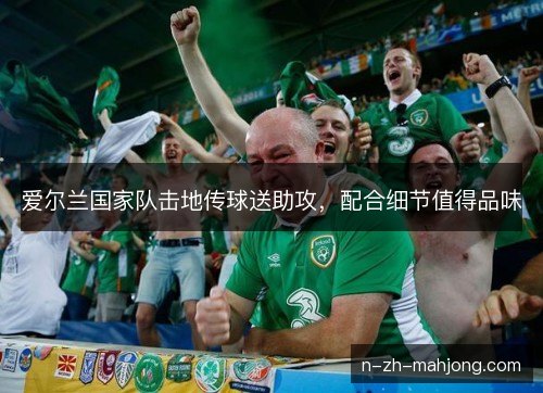 爱尔兰国家队击地传球送助攻，配合细节值得品味